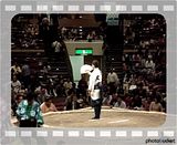 sumo chanting